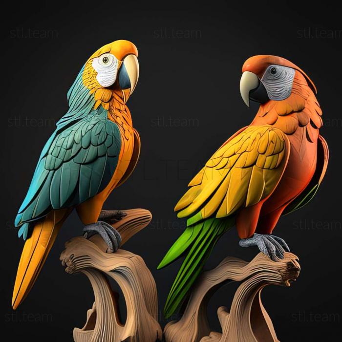 parrots k